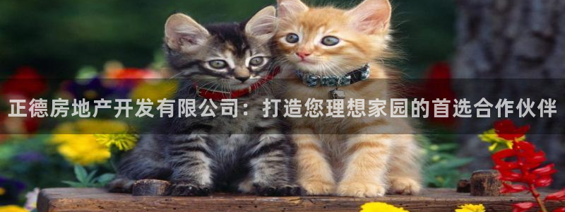 万向娱乐官网下载安装