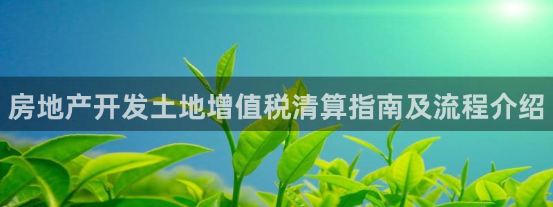 万向娱乐王者荣耀