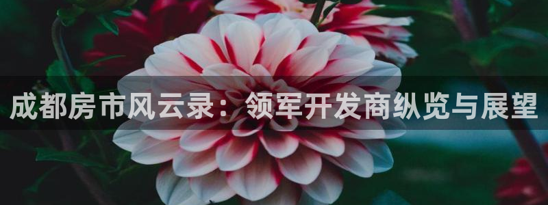 万向娱乐是野鸡台吗