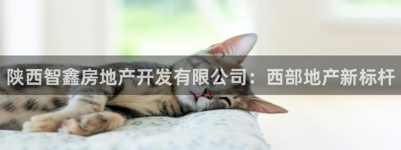 万向娱乐平台代理多少钱