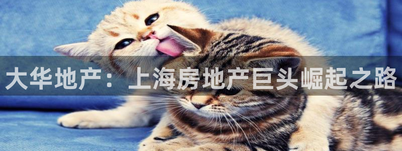 万向娱乐官网下载安装最新版