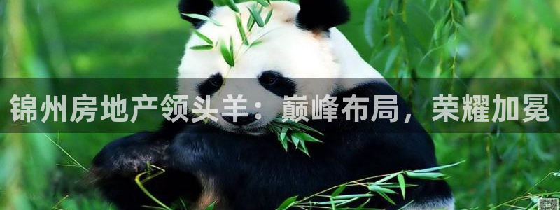 万向娱乐登陆
