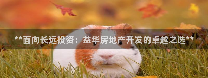 万向娱乐的联系方式是什么