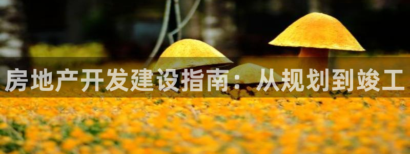 万象游戏代理