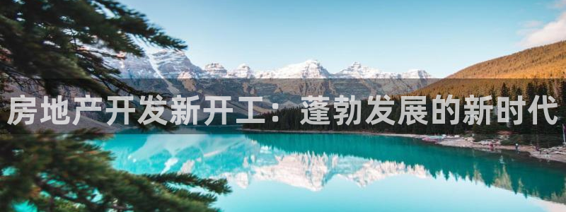万向娱乐灯333OO