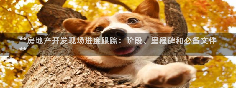 万向娱乐公司官网电话
