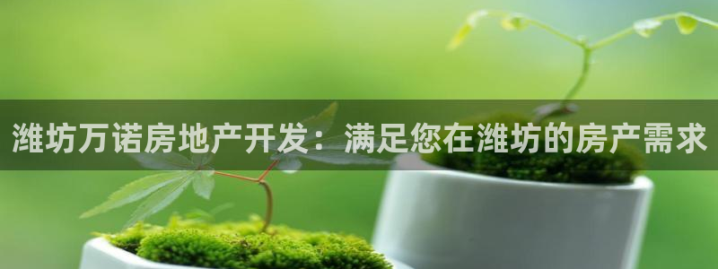 万向娱乐平台代理多少钱一年