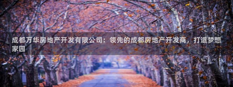 万向娱乐app