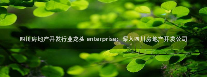 万能娱乐代理网址