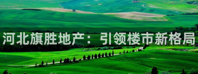 万向娱乐的494o3 主管