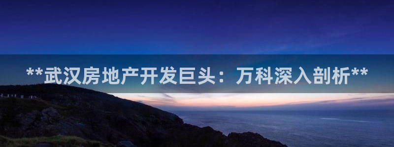 万向娱乐平台代理多少钱