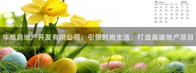 万向娱乐下载