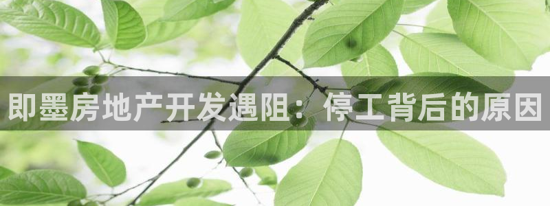 万向娱乐公司官网首页