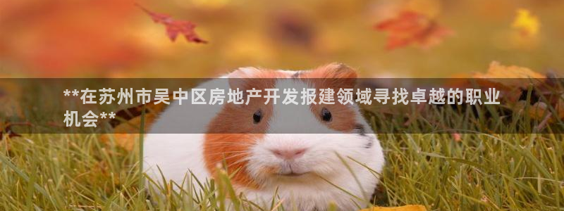 万向娱乐技术