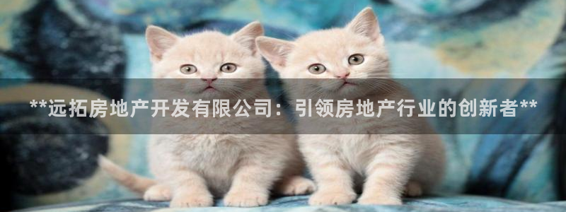 万向娱乐官网下载安装最新版