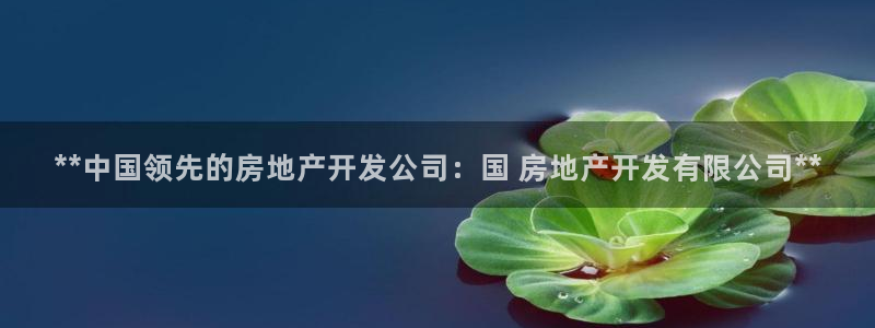 万向娱乐公司官网
