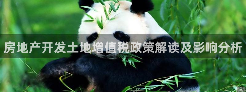 万向娱乐平台代理多少钱一年