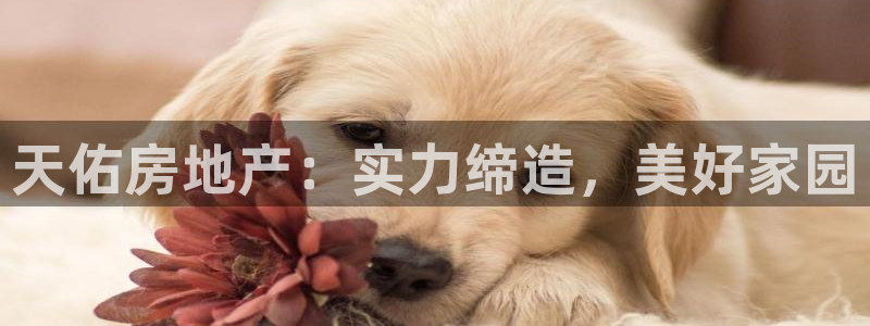 万向娱乐官网下载安装最新版