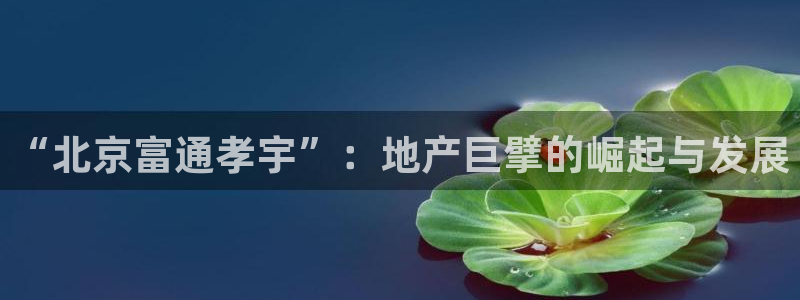 万向娱乐的联系方式有哪些