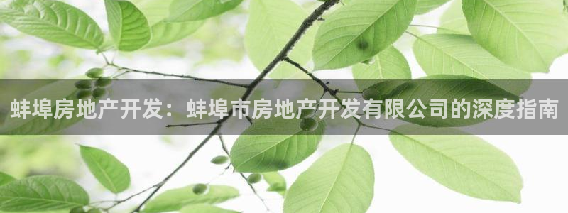 万向娱乐代理好看视频是真的吗