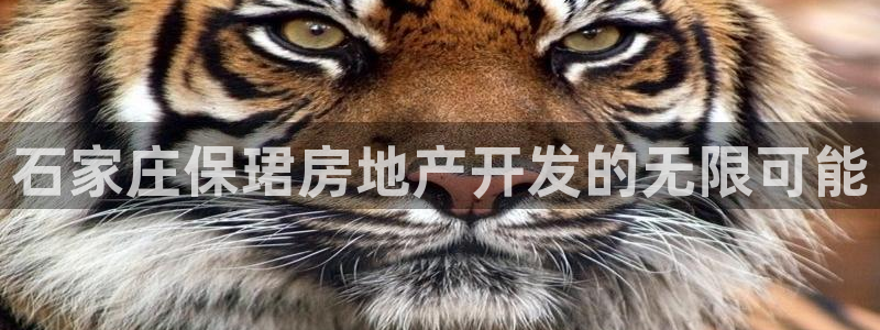 万向娱乐平台代理怎么样赚钱