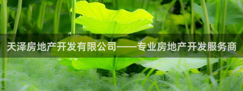 万向娱乐官网网址是多少