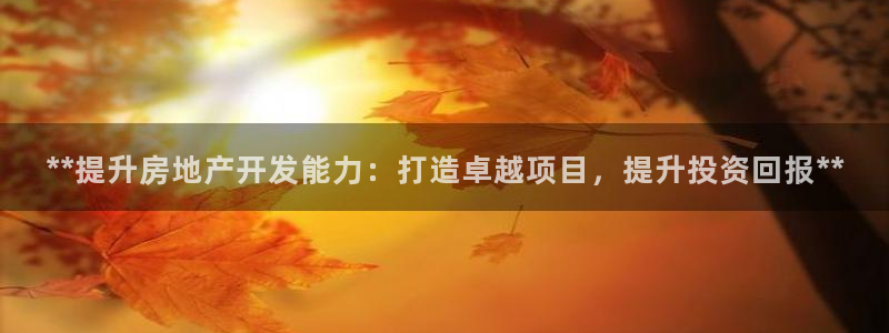 万向娱乐总代