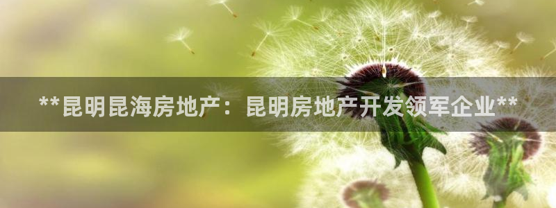 万向娱乐代理好看视频是真的吗