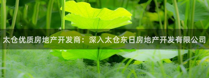 万向娱乐app