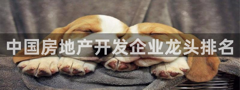 万向娱乐app下载安装