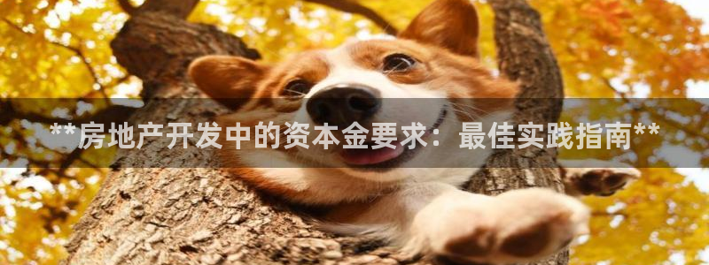 万向娱乐技术