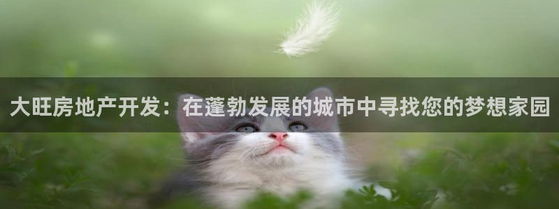 万向娱乐首页