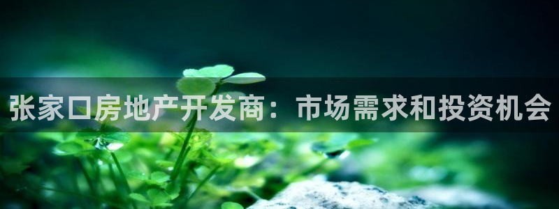 万向娱乐登陆官网