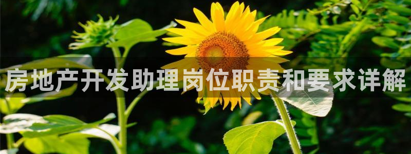 万向娱乐app下载安装