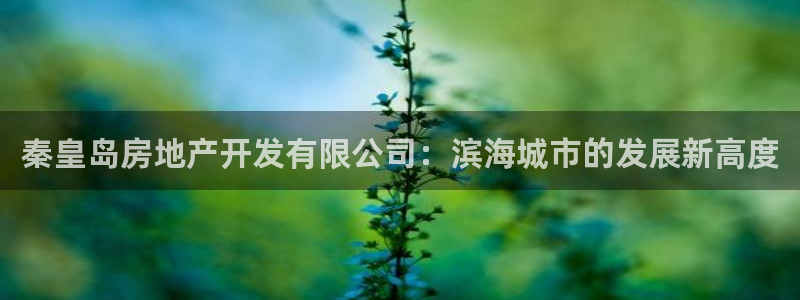 万向娱乐招商