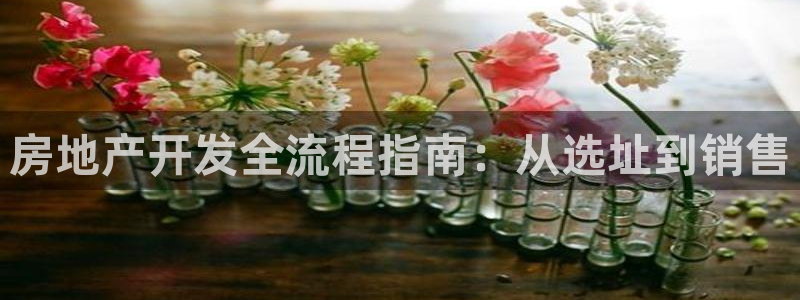 万向娱乐平台怎么下载