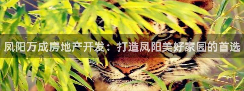 万向娱乐是哪个旗下